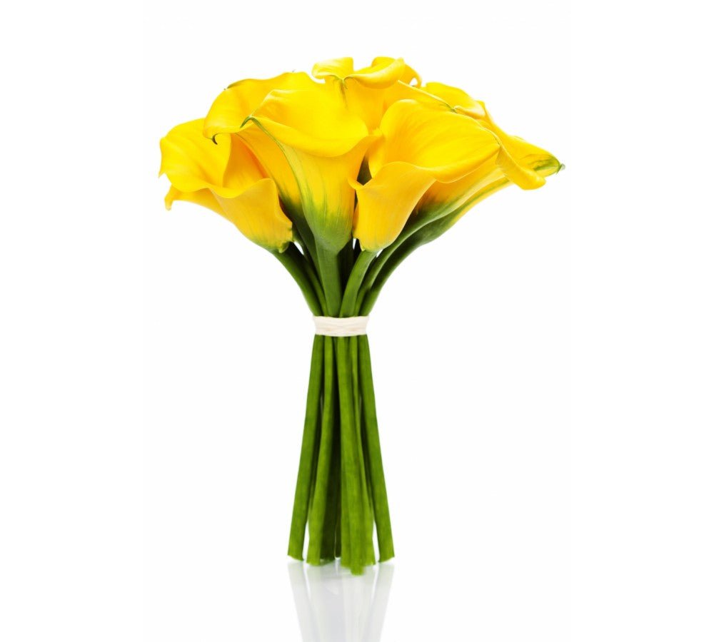 Yellow Calla Lily Bouquet - Fresh Bouquet Co.