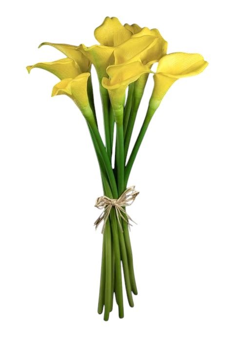 Yellow Calla Lily Bouquet - Fresh Bouquet Co.