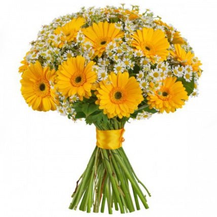 Yellow Gerbera & Tanacetum Bouquet - Fresh Bouquet Co.