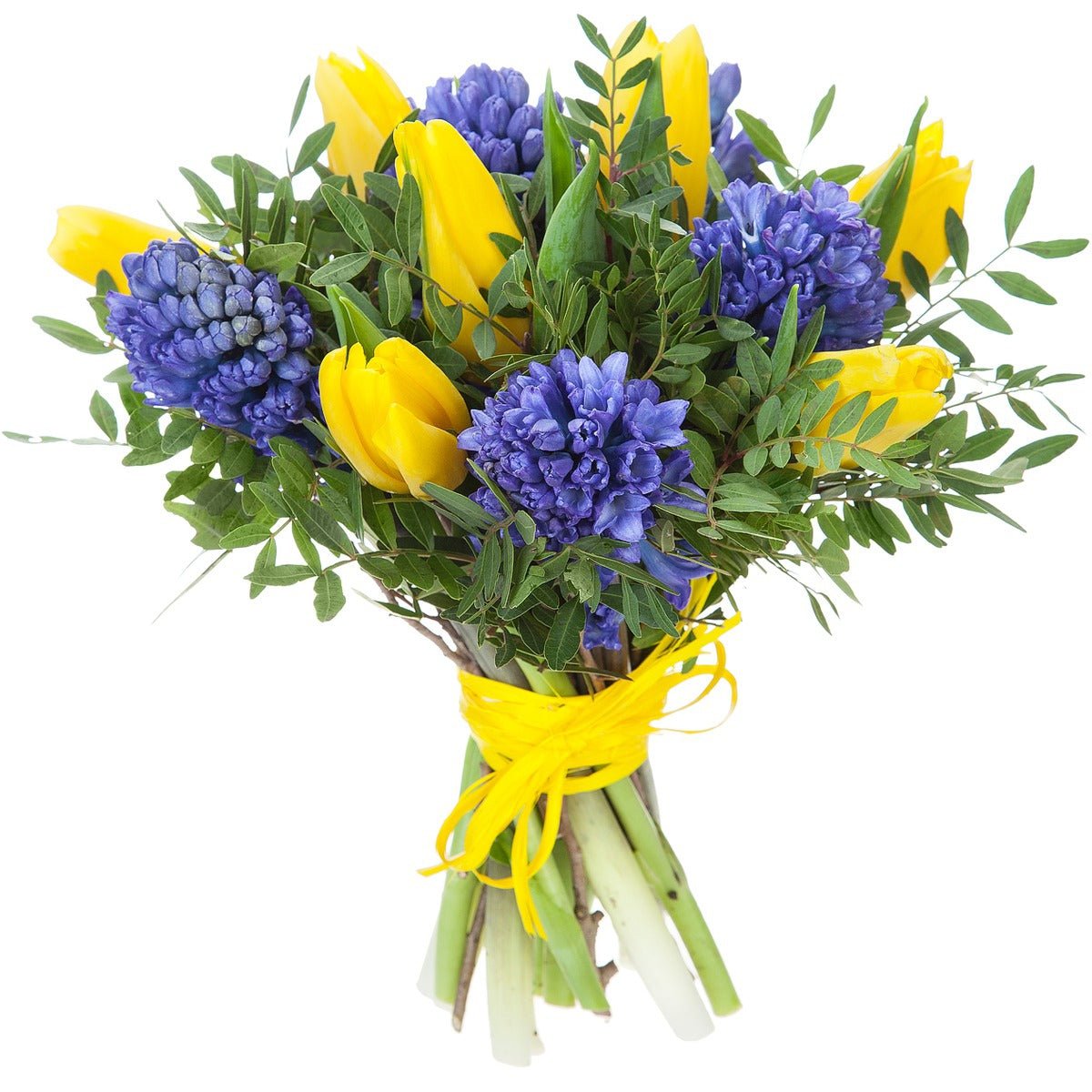 Yellow Tulips & Blue Hyacinth Bouquet with Fresh Greenery - Fresh Bouquet Co.
